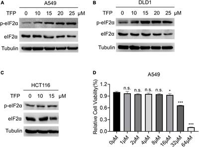 The Food and Drug Administration-approved antipsychotic drug trifluoperazine, a calmodulin antagonist, inhibits viral replication through PERK-eIF2α axis